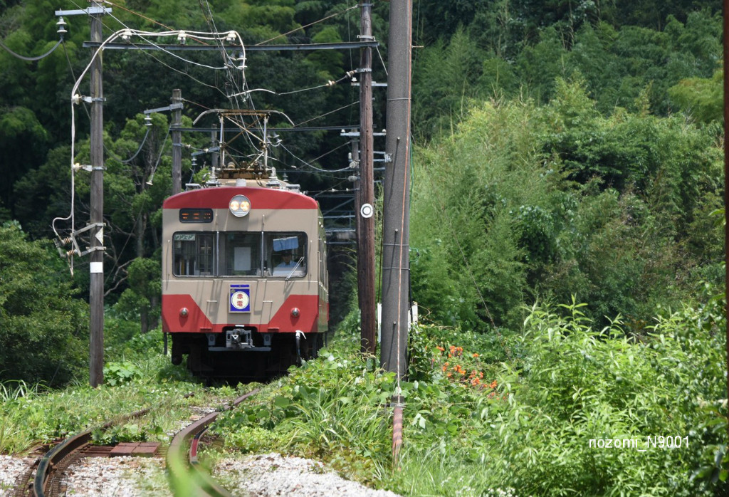 のぞみ係長の鉄道手帳 近江鉄道 のぞみ係長の鉄道手帳 近江鉄道