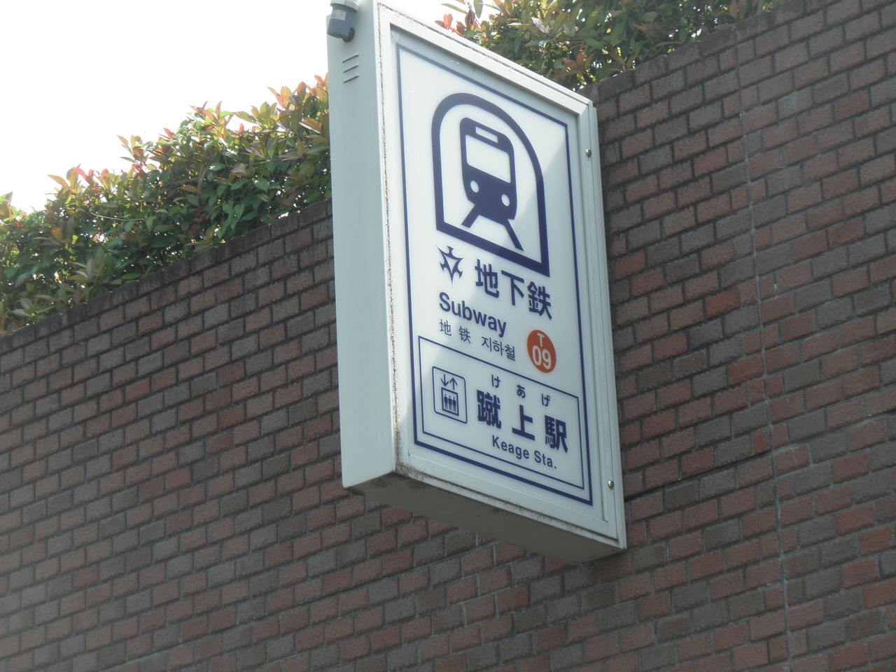 ビートたけしｔｖタックル出演の阿川佐和子講演会行ってきました 撥水道場スタッフのブログ