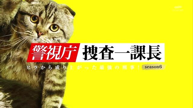 木曜ミステリー 警視庁 捜査一課長6 第9話 シリーズ完結 ネコカフェ大捜査 ドラマキャスト 木曜ミステリー 警視庁 捜査一課長6 第9話 シリーズ完結 ネコカフェ大捜査 ドラマキャスト