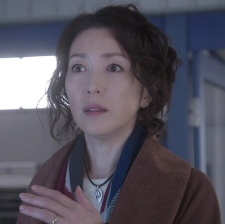 木曜ミステリー 科捜研の女 第9話 最終話 2時間ｓｐ 被疑者 土門薫 ドラマキャスト ナビゲーター