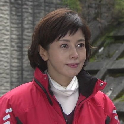 科捜研の女 正月スペシャル ドラマキャスト 科捜研の女 正月スペシャル ドラマキャスト