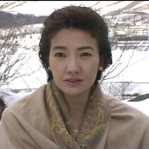 火曜サスペンス劇場 弁護士・高林鮎子－第12作（1993年）「L特急あずさ
