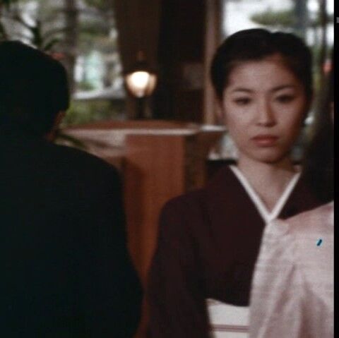 土曜ワイド劇場 山口線貴婦人号SL殺人トリック（柴俊夫）ー