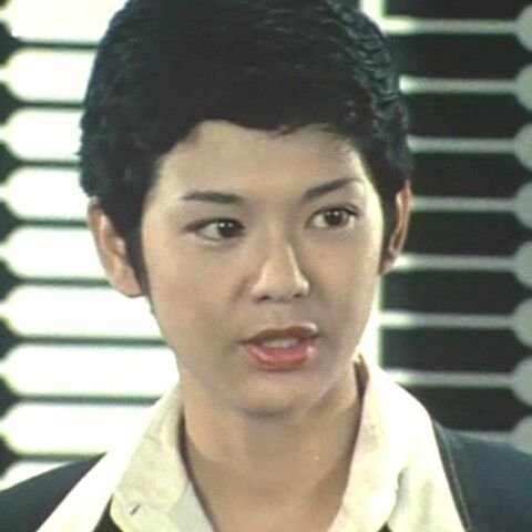 土曜ワイド劇場 江戸川乱歩の美女シリーズー第6作（1978年）「妖精の