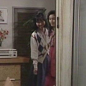 火曜サスペンス劇場 弁護士・高林鮎子－第12作（1993年）「L特急あずさ