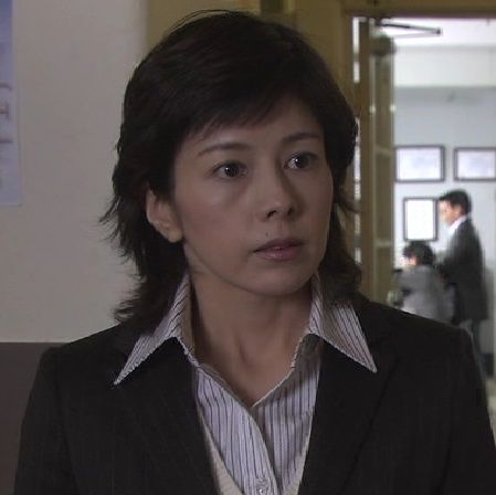 鉄道捜査官 第7作 2006年 大井川sl急行密室展望車の殺意 黒衣の花嫁が遺したハイヒールの罠 時刻表に仕掛けられた謎の連続殺人 オールキャスト2時間ドラマ