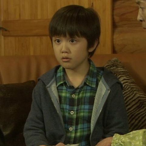 おばさんデカ 桜乙女の事件帖 第16作 17年 さよなら おばさんデカ 桜乙女の事件帖 ザ ラスト オールキャスト2時間ドラマ おばさんデカ 桜乙女の事件帖 第16作 17年 さよなら おばさんデカ 桜乙女の事件帖 ザ ラスト オールキャスト2時間ドラマ