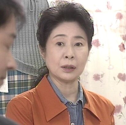 おばはん刑事 流石姫子 第1作 1998年 瞼の息子は超エリート署長 天下無敵の母刑事登場 オールキャスト2時間ドラマ