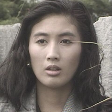 女弁護士 高林鮎子シリーズ DVD BOX Vol.1〈3枚組〉真野あずさ主演 火曜サスペンス劇場 弁護士・高林鮎子－第3作（1988年）「新横浜発12時