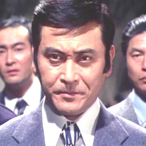 土曜ワイド劇場 江戸川乱歩の美女シリーズー第11作（1980年）「桜の国