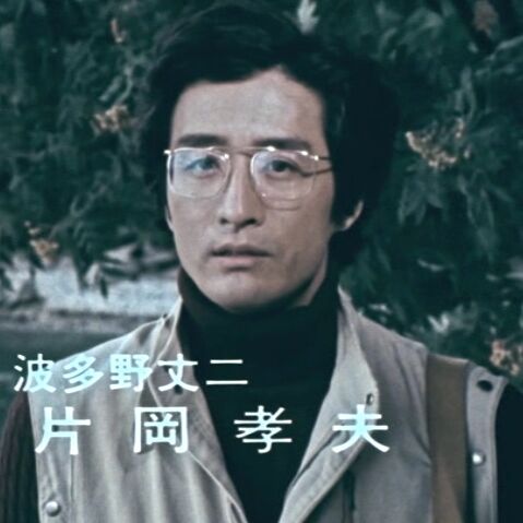 若い女性のレイプ死体 十和田湖に消えた女（片岡孝夫）ー（1982年）「連続レイプ殺人事件 死体の胸に真紅の花」 : オールキャスト2時間ドラマ