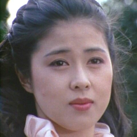 土曜ワイド劇場 江戸川乱歩の美女シリーズー第21作（1983年）「白い