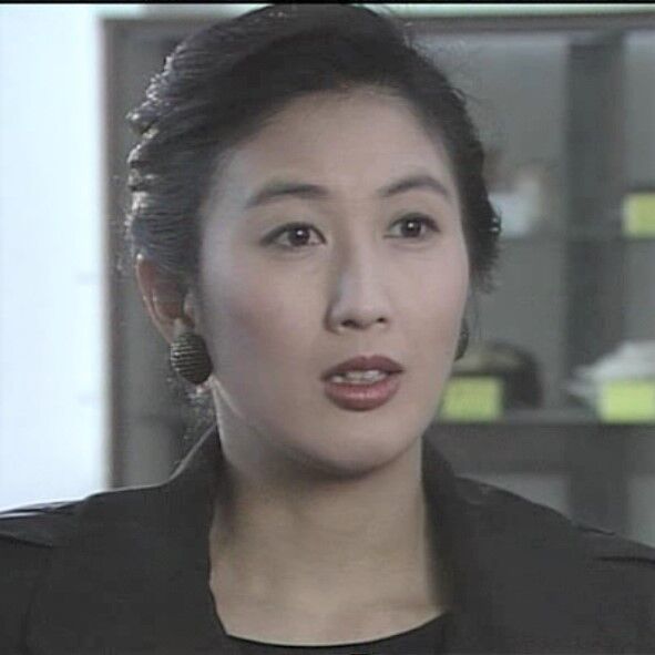 火曜サスペンス劇場 弁護士・高林鮎子－第7作（1990年）「L特急しまん