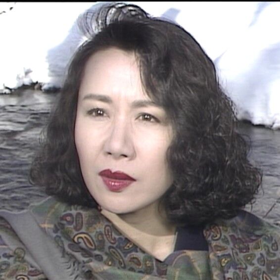 火曜サスペンス劇場 弁護士・高林鮎子－第9作（1991年）「北の街