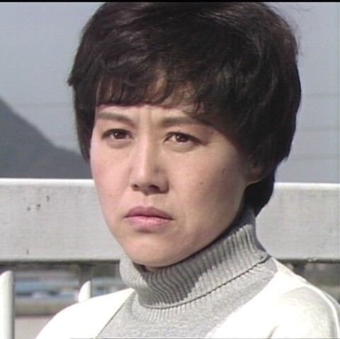 火曜サスペンス劇場 弁護士・高林鮎子－第12作（1993年）「L特急あずさ