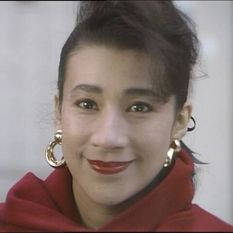 火曜サスペンス劇場 弁護士・高林鮎子－第3作（1988年）「新横浜発12時