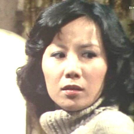 土曜ワイド劇場 江戸川乱歩の美女シリーズー第7作（1979年