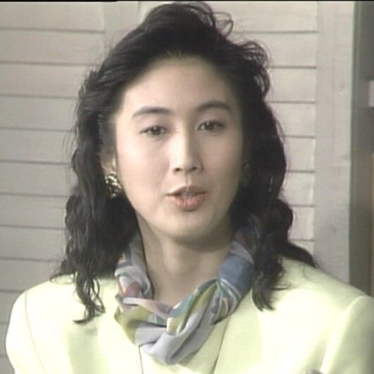 火曜サスペンス劇場 弁護士・高林鮎子－第9作（1991年）「北の街