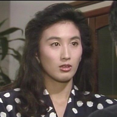 新品未開封☆ 女弁護士 高林鮎子シリーズ コレクターズDVD Vol.2 [DVD