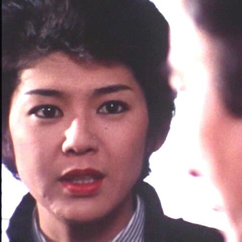 土曜ワイド劇場 江戸川乱歩の美女シリーズー第18作（1982年