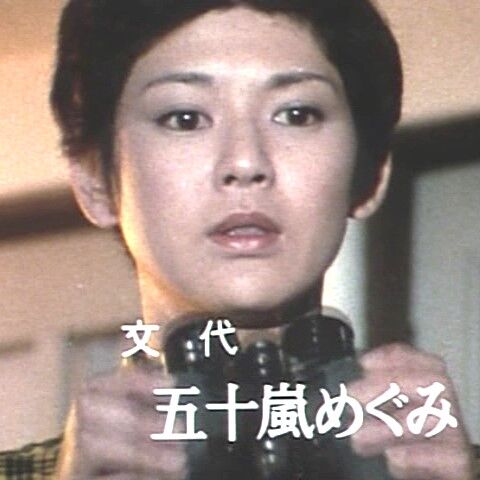 土曜ワイド劇場 江戸川乱歩の美女シリーズー第4作（1978年）「白い人魚