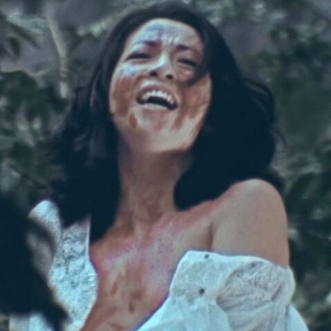 若い女性のレイプ死体 十和田湖に消えた女（片岡孝夫）ー（1982年）「連続レイプ殺人事件 死体の胸に真紅の花」 : オールキャスト2時間ドラマ