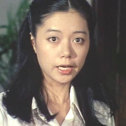 土曜ワイド劇場 江戸川乱歩の美女シリーズー第7作（1979年