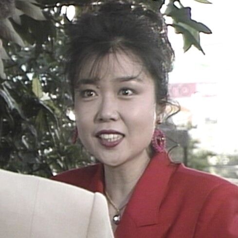 火曜サスペンス劇場 弁護士・高林鮎子－第8作（1990年）「北の旅、殺意