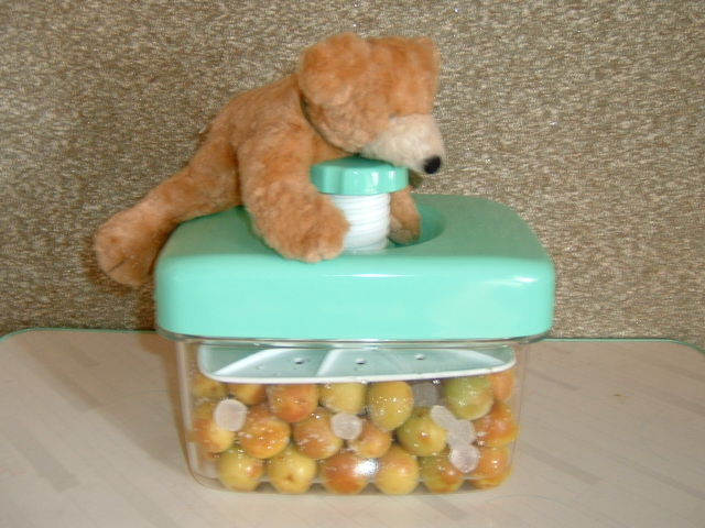 カリカリ梅にチャレンジだっ その後 あすたらびすた