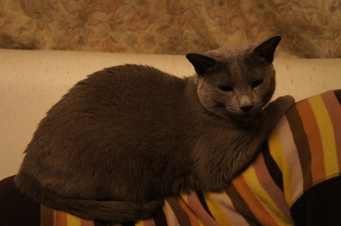DSC00841