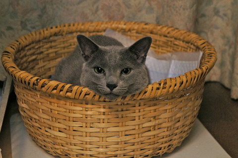 DSC00069