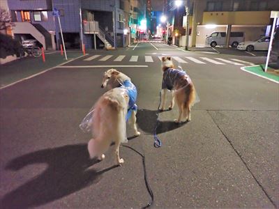 勘弁してくれぇ いんちょブログ