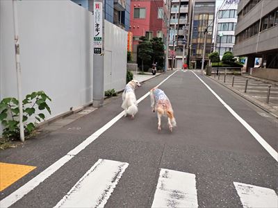 P8175119ber