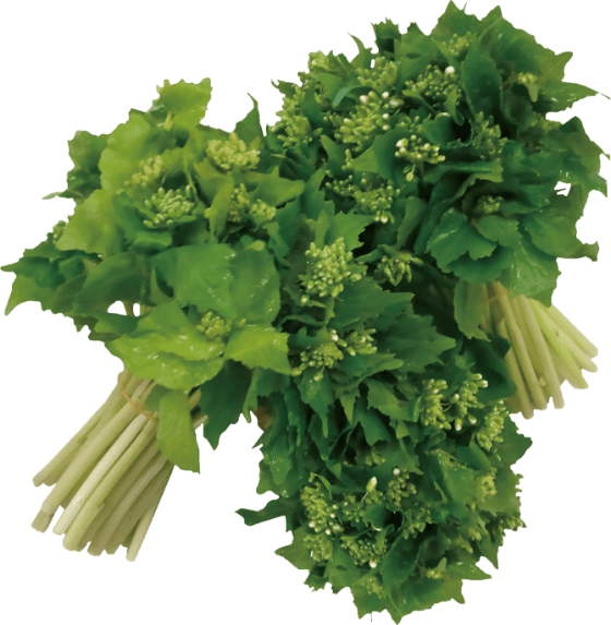 匹見産 花わさび醤油漬け We Re In The Same Boat Now