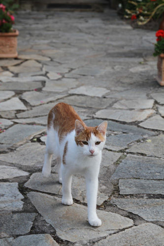 We Re In The Same Boat Now 漢字の世界