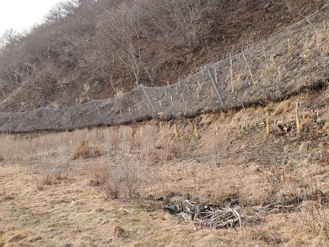 20200214_152021
