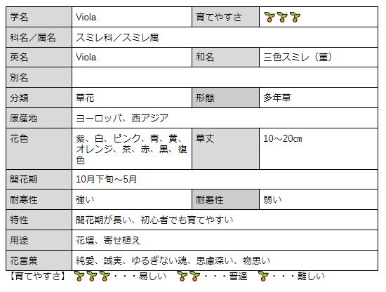 ビオラ 秋から春まで長 く楽しませてくれるスミレ科 スミレ属の多年草 花のある暮らし