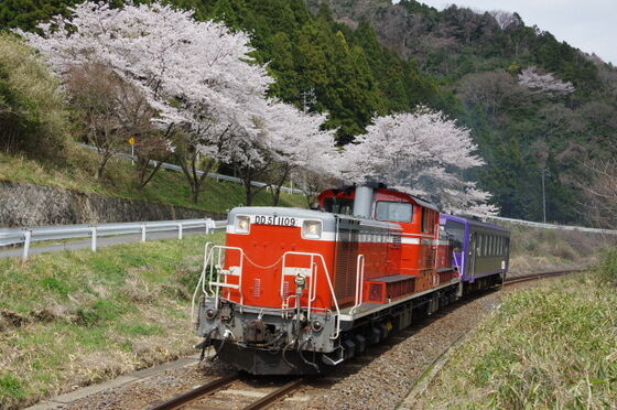 柴山庄山　亀香合　D327 柴山庄山 亀香合 D327 柴山庄山 亀香合 D327 柴山庄山亀香合D327