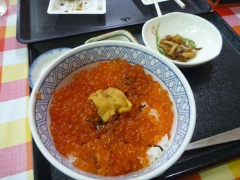 P1100785_640