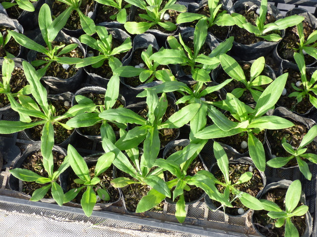 P1120214
