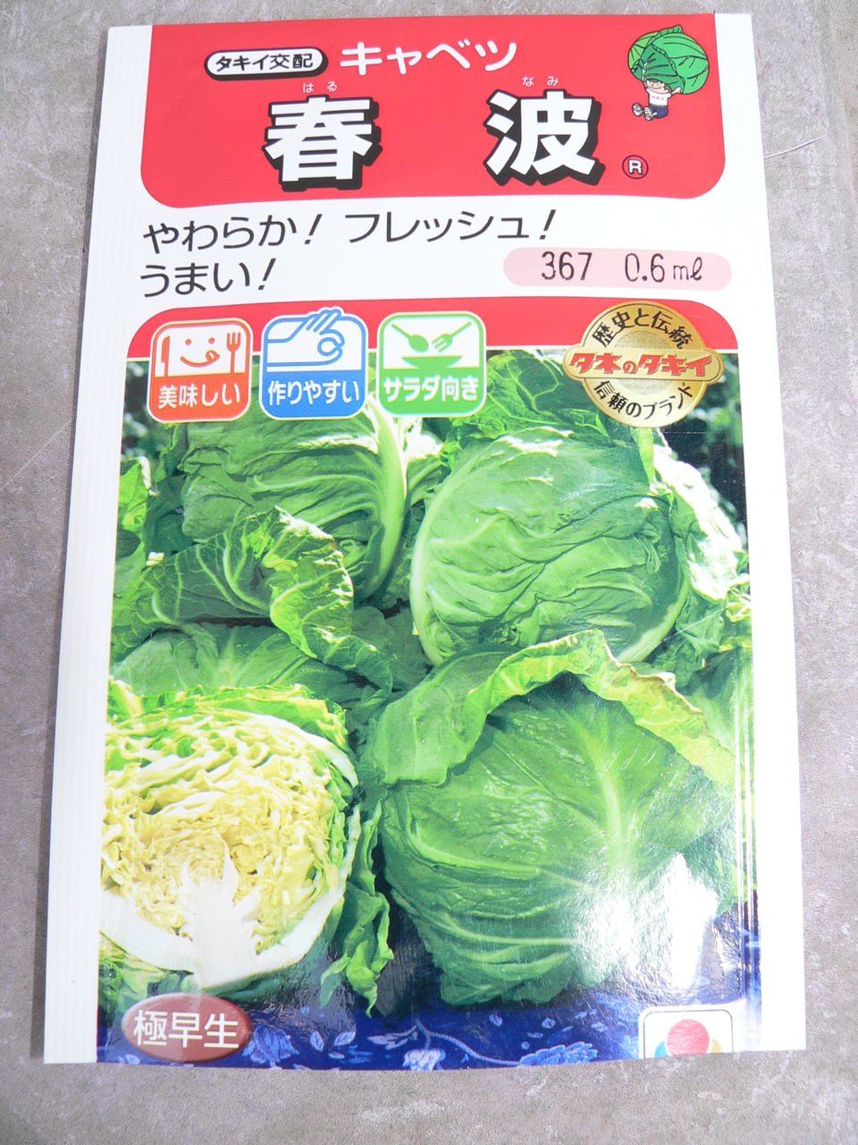 キャベツの直播きです バド菜園 バドの自然と遊ぼうゆったり菜園らいふ