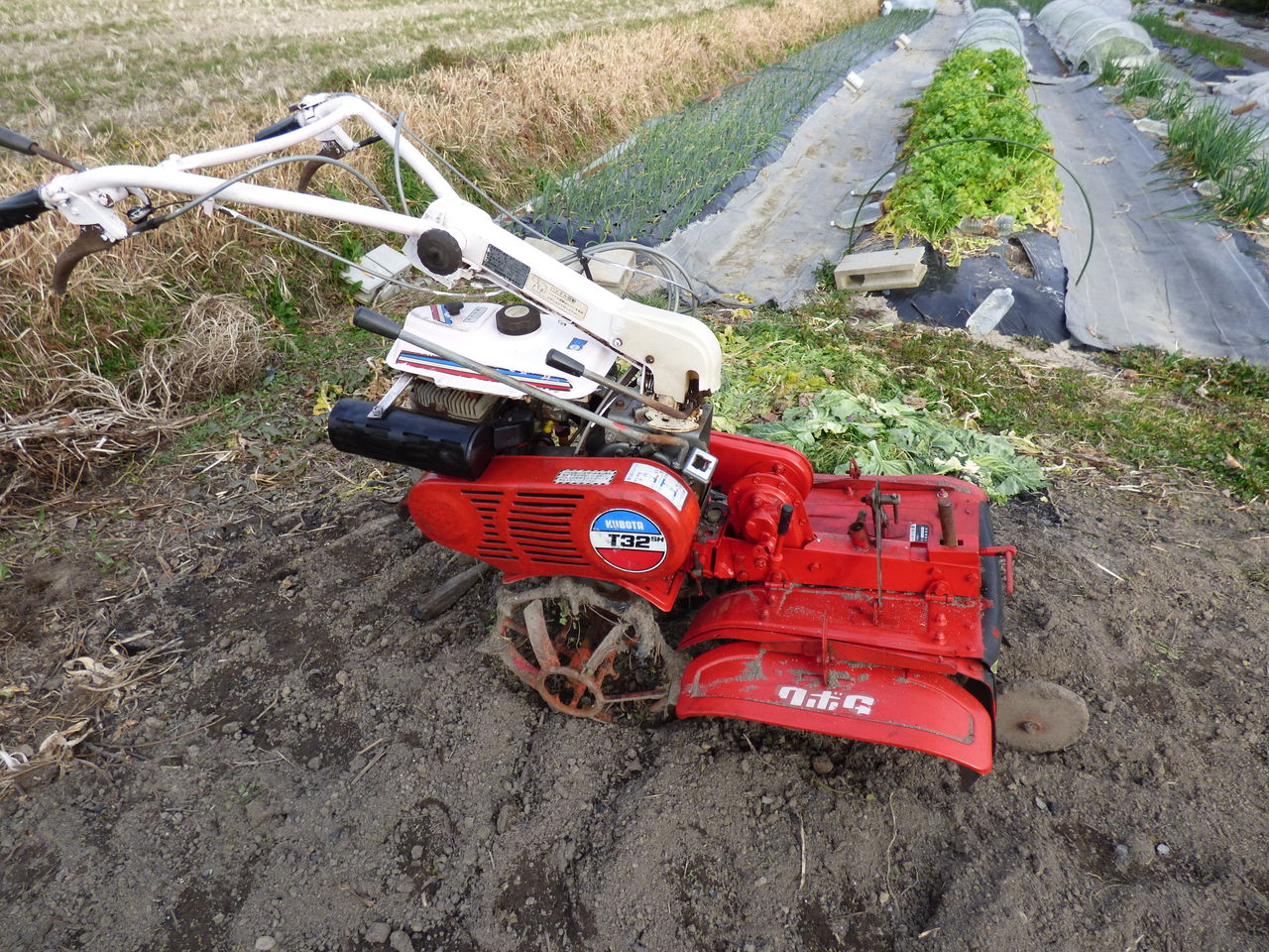 ミニ耕運機がきました バド菜園 バドの自然と遊ぼうゆったり菜園らいふ ミニ耕運機がきました バド菜園 バドの自然と遊ぼうゆったり菜園らいふ