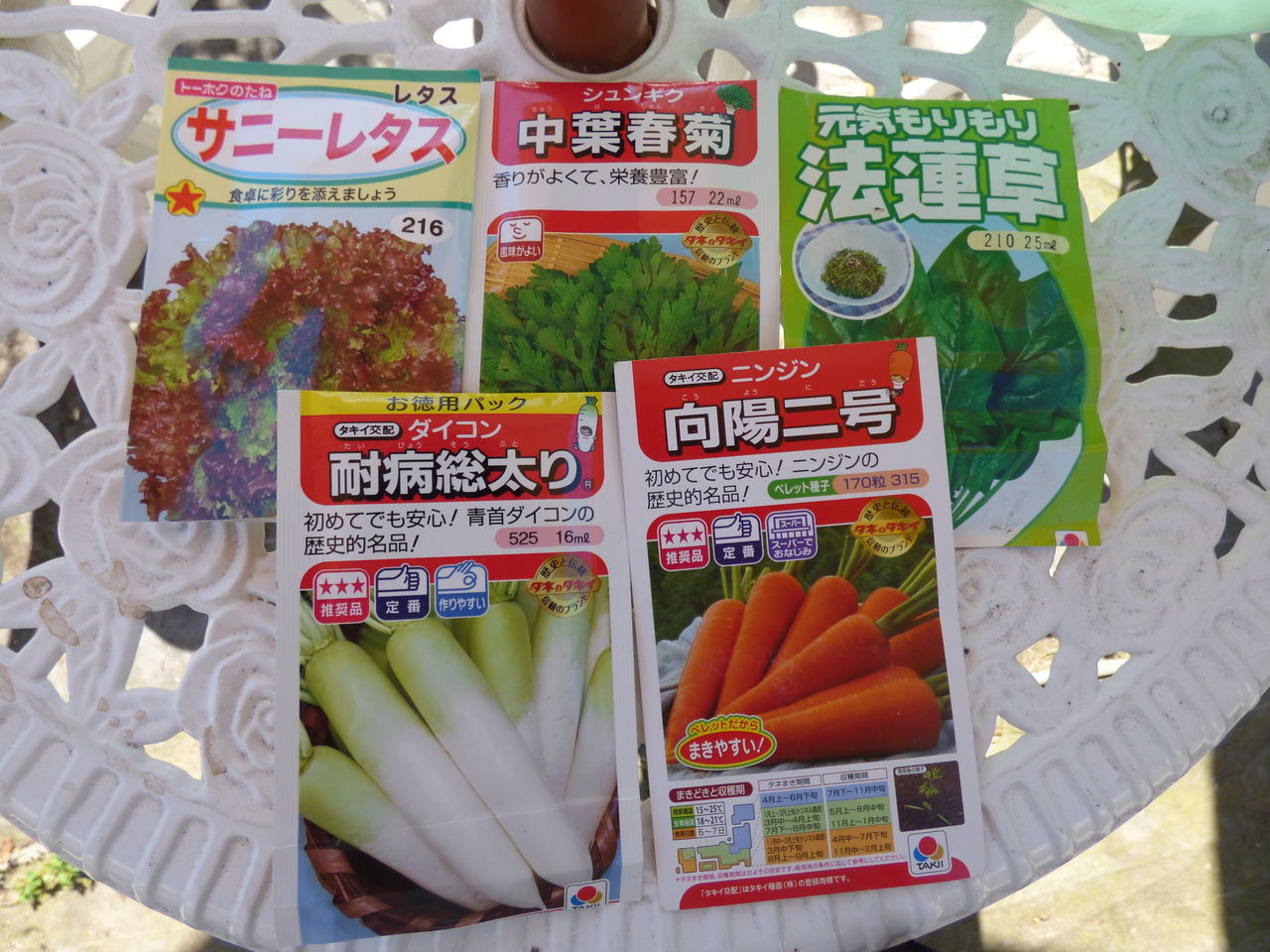 続秋野菜の種まき 九条ねぎ定植など バド菜園 バドの自然と遊ぼうゆったり菜園らいふ 続秋野菜の種まき 九条ねぎ定植など バド菜園 バドの自然と遊ぼうゆったり菜園らいふ