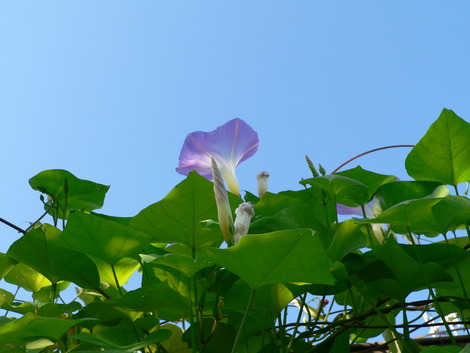 P1350469