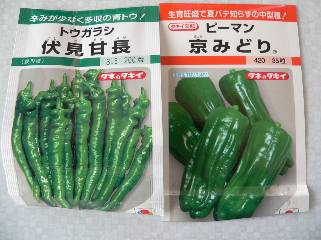 夏野菜種まき第3弾です バド菜園 バドの自然と遊ぼうゆったり菜園らいふ 夏野菜種まき第3弾です バド菜園 バドの自然と遊ぼうゆったり菜園らいふ