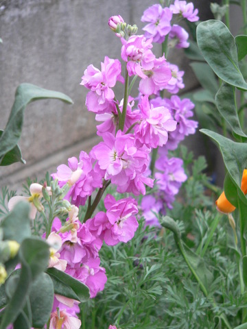 P1400704