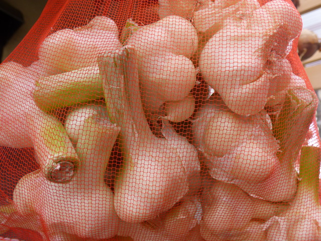 P1080226