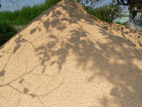 P1350453