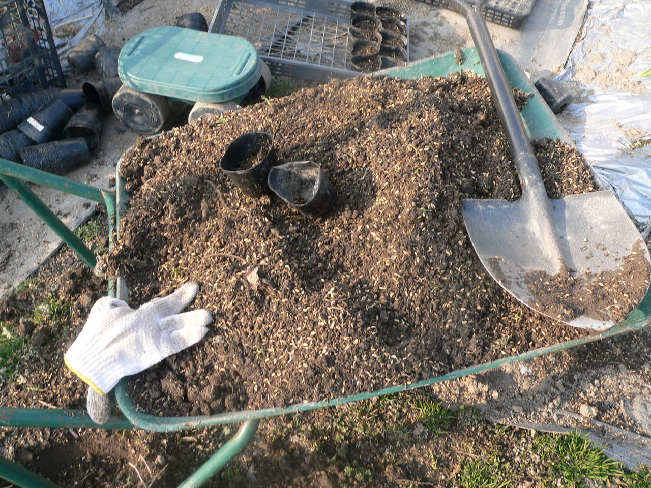千両二号ナスの種まきです バド菜園 バドの自然と遊ぼうゆったり菜園らいふ 千両二号ナスの種まきです バド菜園 バドの自然と遊ぼうゆったり菜園らいふ