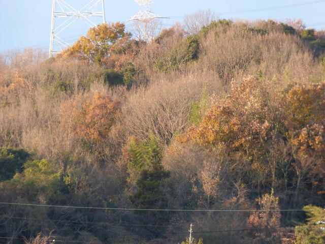 P1020568